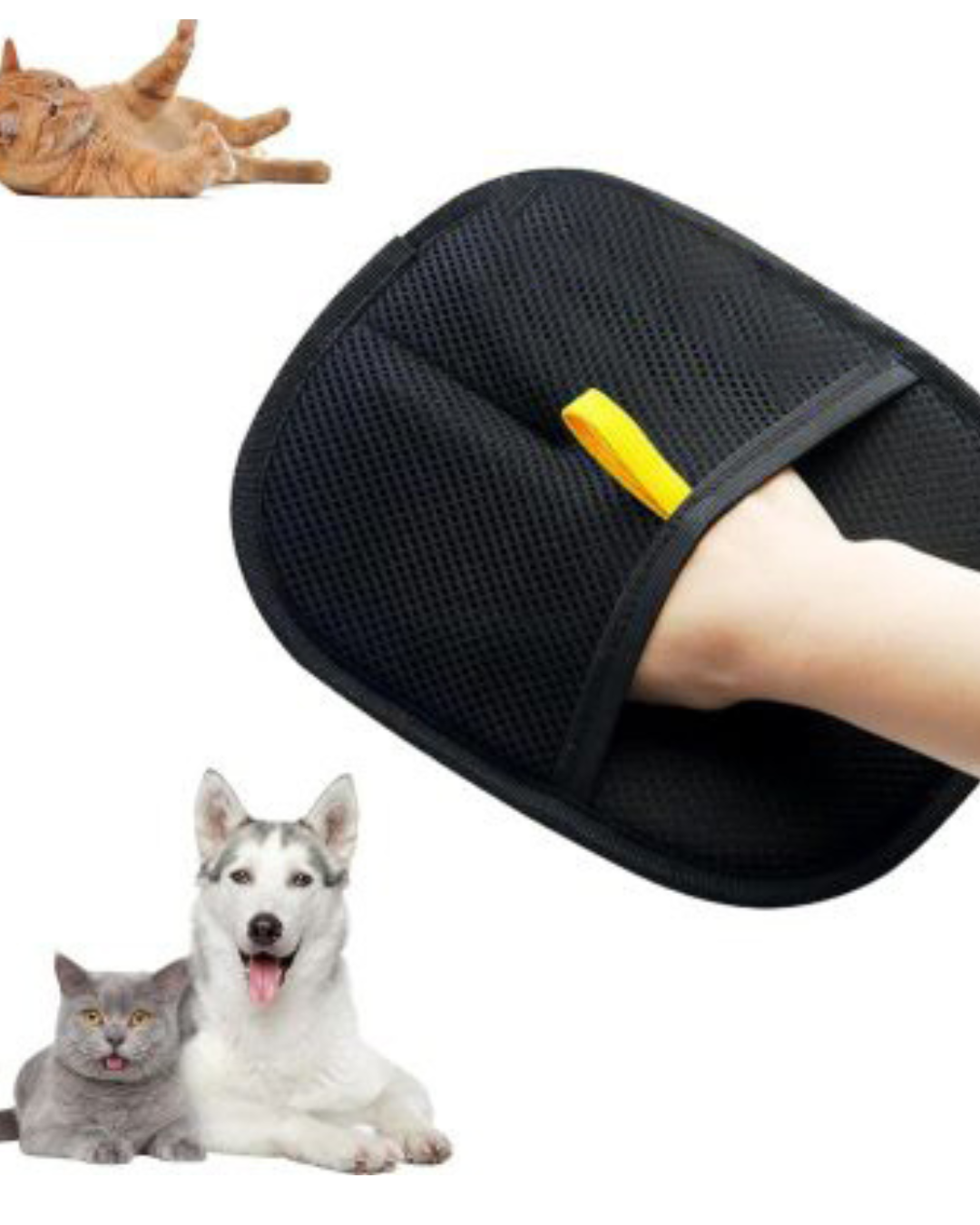 Pet Hair Removal Brush